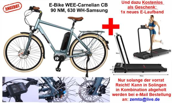 1200,00 € Herren E-Bike WEE-Carnelian 2 , 28 Zoll, 7 Gang, 90 NM, 630 WH-Samsung + Gratis E-Laufband